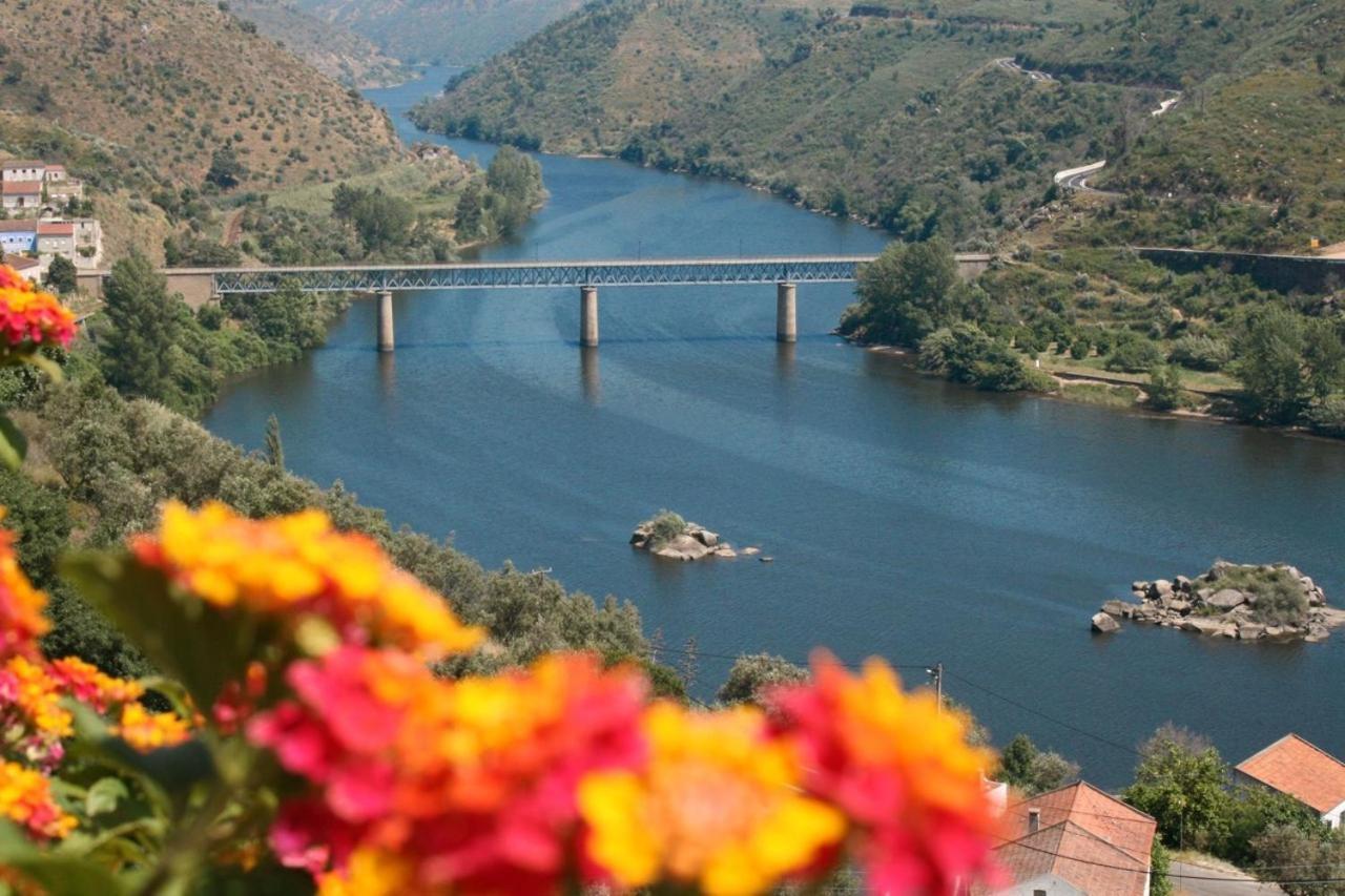 Quinta Do Belo-Ver Turismo De Habitacao Belver  Bagian luar foto